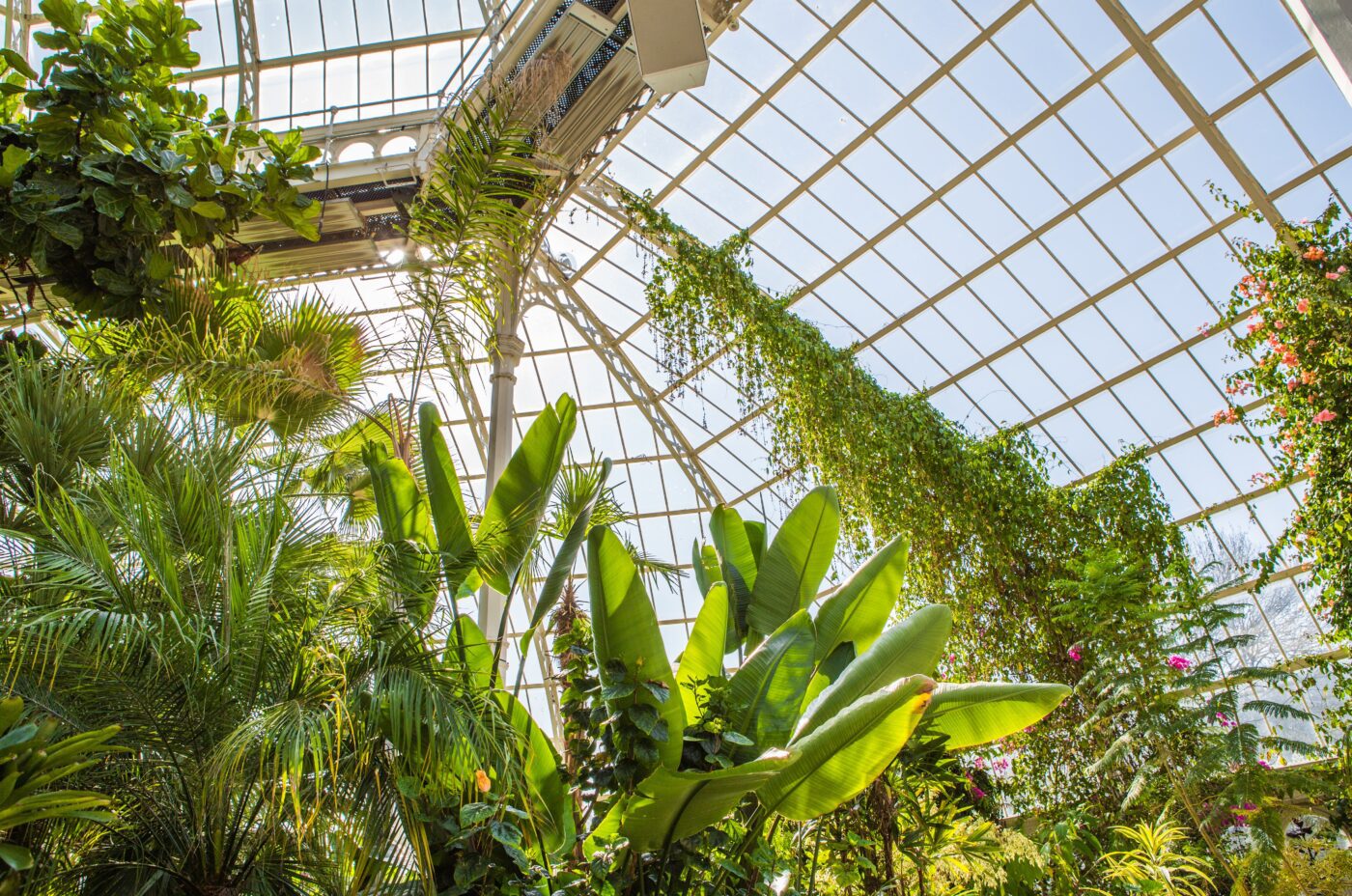 Sefton Park Greenhouse