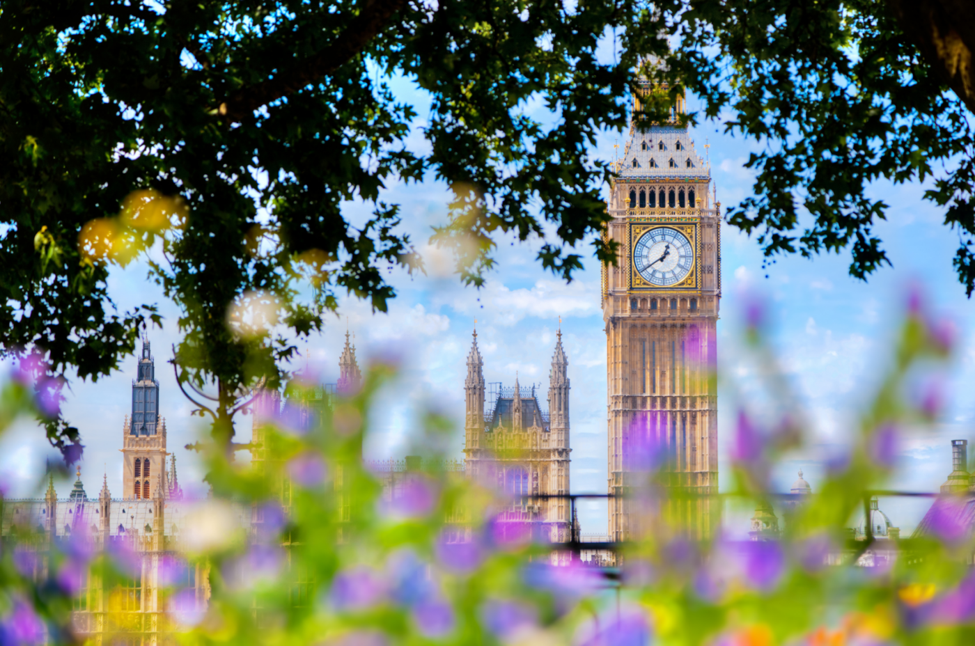 Big Ben and the Houses of Parliament, framed by tree branches and colorful flowers in the foreground. The clock tower stands tall under a partly cloudy sky, creating a vibrant and scenic view.