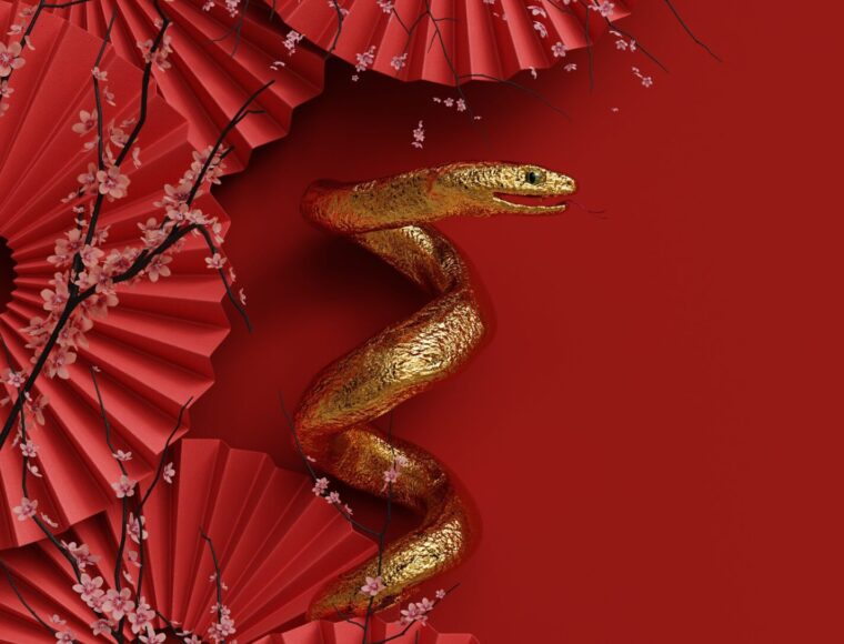 A golden snake is coiled among red accordion fans with delicate pink blossoms on a rich red background. The arrangement creates a striking contrast and a sense of elegance.